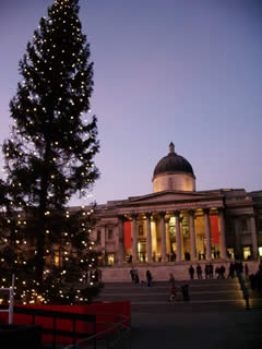 Christmas tree in Trafalgar Square, December 2005